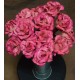 Dried Pink Corn Husk Roses - Open Flowers