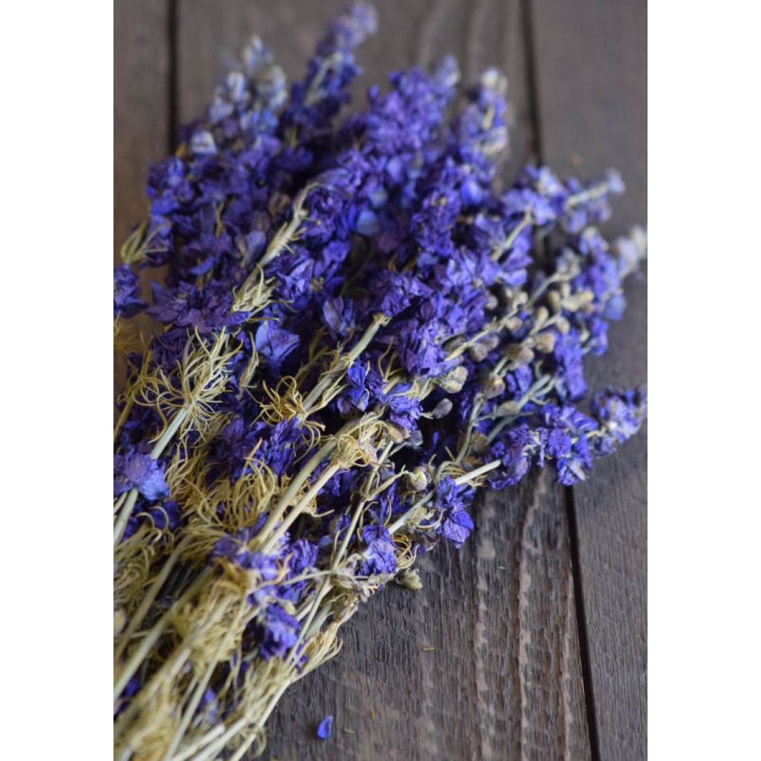 Dried Dark Blue Larkspur Flowers For Sale Dried Delphinium Dried