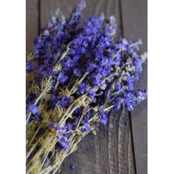 Why Are Dried Flowers So Expensive? – The Last Bunch