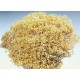 Dried Natural Bloom Broom Flowers - Brooms Bloom