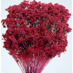 Dried Hydrangea Flower Bunch - Burgundy Color