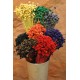 Dried Brazilian Hill Flowers - Natural Dried Brazilian Hill Flowers - Natural