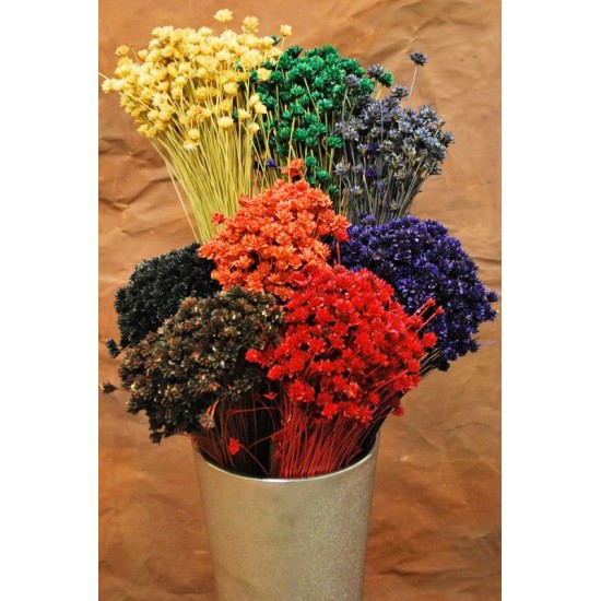 Dried Brazilian Hill Flowers - Natural Dried Brazilian Hill Flowers - Natural