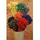 Dried Brazilian Hill Flowers - Natural