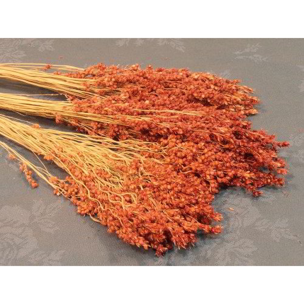 Dried Broom Corn Broom Corn for Sale