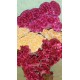 Dried Celosia Cockscomb - Coxcomb