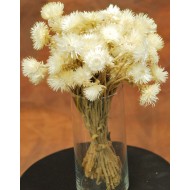 Dried Everlasting Flowers - Natural Helichrysum