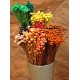 Dried Floral Button Flowers - Colors