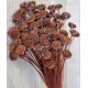 Dried Floral Button Flowers - Colors