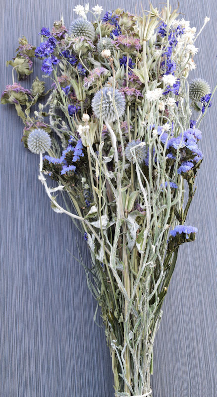 Dried Blue Flowers  Dried Flower Bouquets for Sale