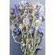 Dried Flower Blue Bouquet Garden Bunch