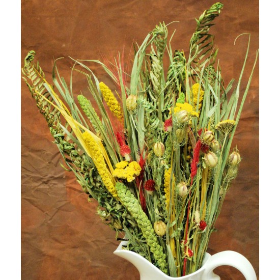 Dried Flower Bouquet - Painted Desert Bunch