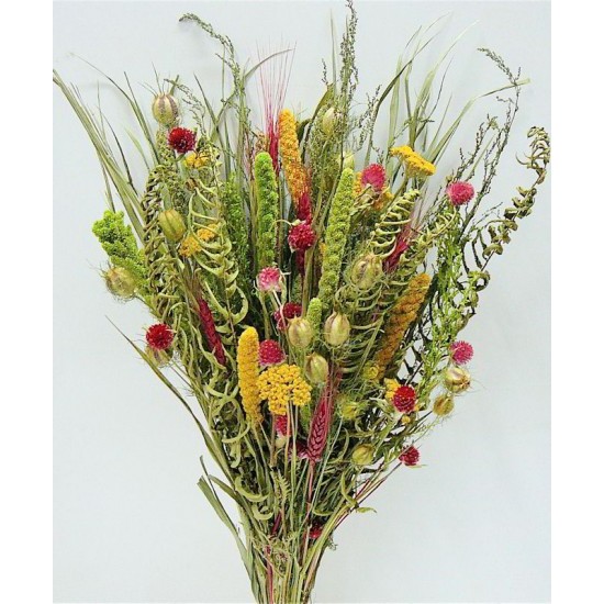 Dried Flower Bouquet - Painted Desert Bunch