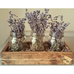 Dried Flower Clear Mason (Ball) Jar Set