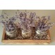 Dried Flower Clear Mason (Ball) Jar Set