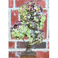 Dried Hydrangea Flower Bunch - Burgundy Color