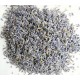Lavender Buds Extra - Extra Mix lavender buds - Bulk Bag of Lavender Flowers Lavender Buds Extra - Extra Mix lavender buds - Bulk Bag of Lavender Flowers