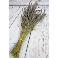 French Lavender Field Bunch - Grosso