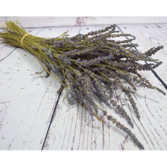 French Lavender Field Bunch - Grosso French Lavender Field Bunch - Grosso