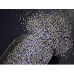 Lavender Buds Surchoix Mix -  lavender buds - Bulk Bag