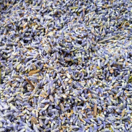 Lavender Buds Surchoix Mix -  lavender buds - Bulk Bag
