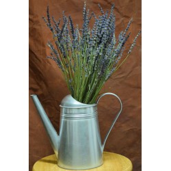 Super Blue Premium Scented French Lavender Bunch