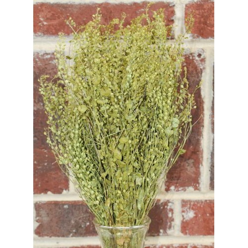 Dried Grasses Dry Grass for Sale Dehydrated Grass