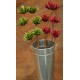 Dried Mum Flowers - 6 Mum Flower Stems