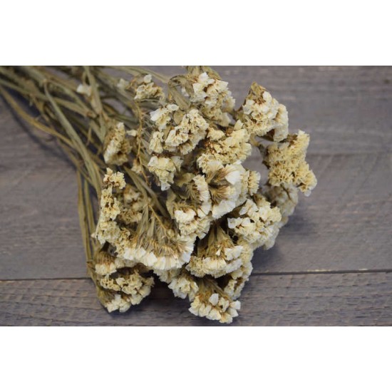 Dried Statice Sinuata Flower Bunch - White