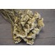 Dried Statice Sinuata Flower Bunch - White