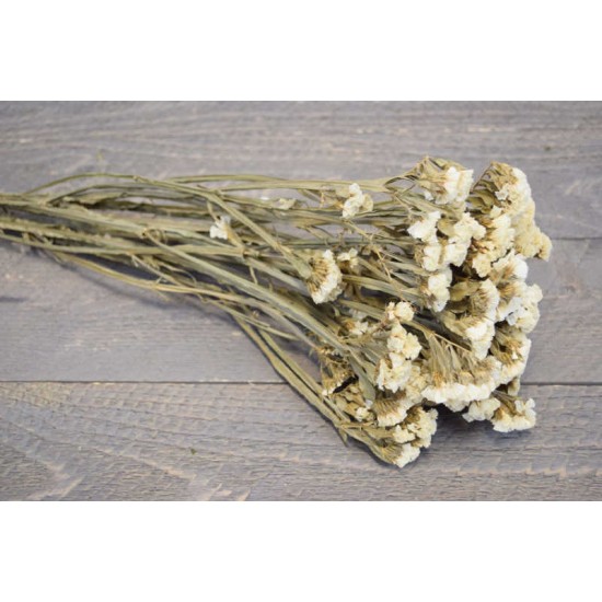 Dried Statice Sinuata Flower Bunch - White