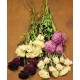 Dried Peonies Flowers Bunch Dried Peonies Flowers Bunch