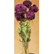 Dried Peonies Flowers Bunch Dried Peonies Flowers Bunch