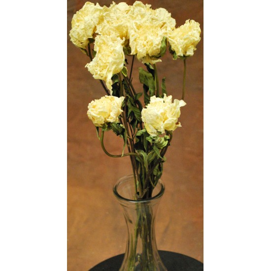Dried Peonies Flowers Bunch Dried Peonies Flowers Bunch