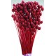 Dried Pineapple Button Flowers Dried Pineapple Button Flowers