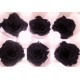 Preserved Roses - 8 per Order - Colors: Green, Blue, Black