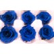 Preserved Roses - 8 per Order - Colors: Green, Blue, Black