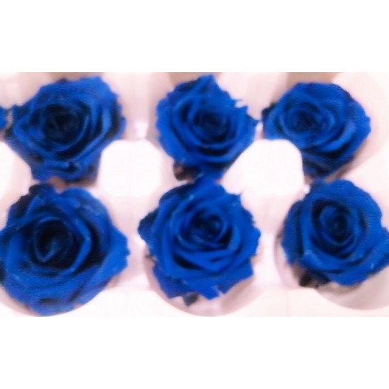 Preserved Roses - 8 per Order - Colors: Green, Blue, Black