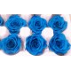 Preserved Roses - 8 per Order - Colors: Green, Blue, Black