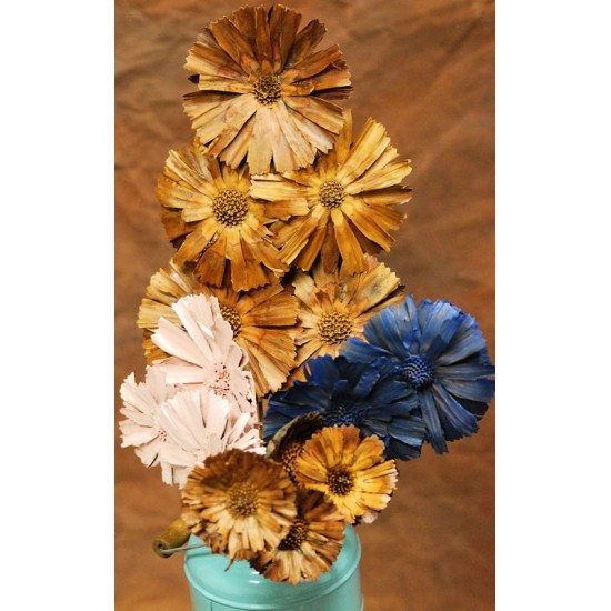 Dried Protea Flowers Stemmed