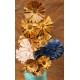 Dried Protea Flowers Stemmed