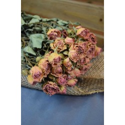 Mini Dried Rose Bouquet - Pink