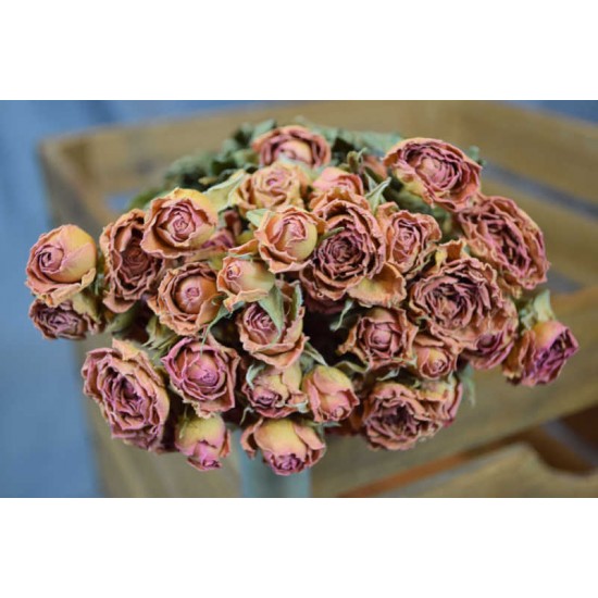 Mini Dried Rose Bouquet - Pink Mini Dried Rose Bouquet - Pink