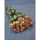Mini Dried Rose Bouquet - Pink Mini Dried Rose Bouquet - Pink
