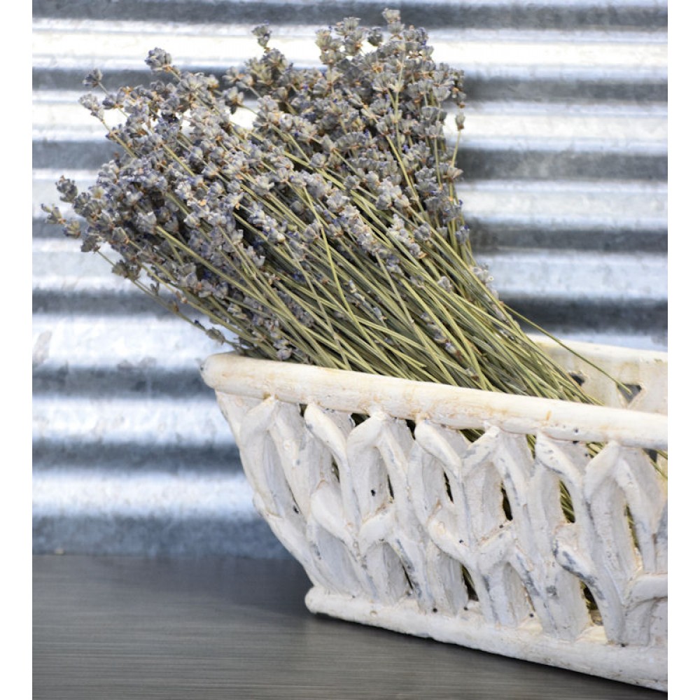 Dried English Lavender Bunch Royal Velvet Bundle