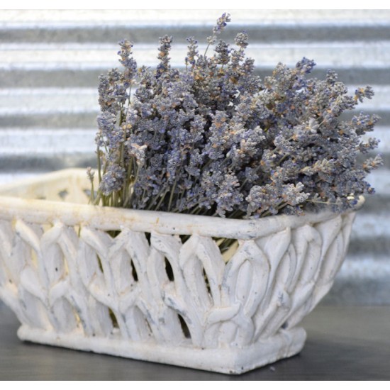 Dried English Lavender Bunch - Large Bundle of Royal Velvet