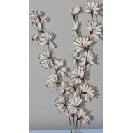 Shola Peacock Flower Fans - Dried