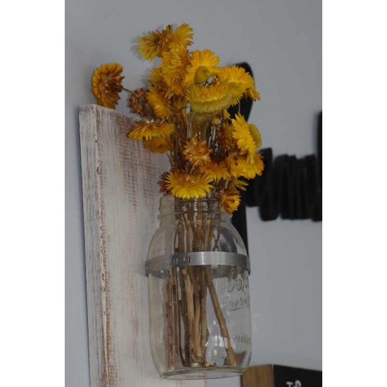 Dried StrawFlowers - Straw Flowers