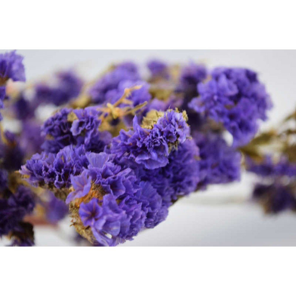 Dried Statice Sinuata Flower Bunch Lavender
