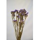 Dried Statice Sinuata Flower Bunch - Lavender
